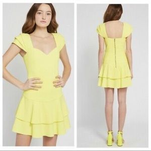 NWT Alice + Olivia Brinda Double Ruffle Fit Flare Dress